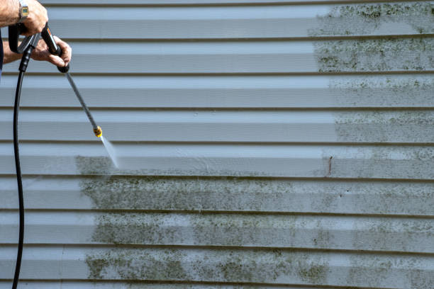 Best Same-Day Junk Removal Services  in Seis Lagos, TX
